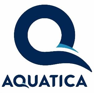Divemaster Internships