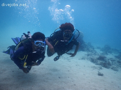 Climate Change & Coral Bleaching research