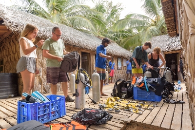 Looking for a PADI DM for SriLanka, IDC in Sri Lanka