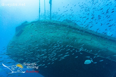 PADI Divemaster internship Program