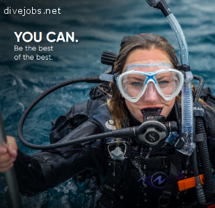 Not got 3,4 or 6 months to work for free? Join us and become a PADI Divemaster faster
