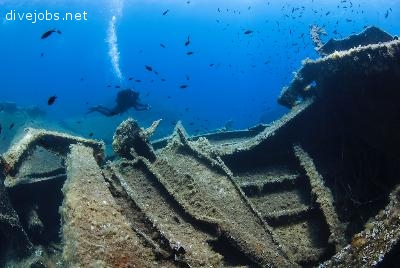 Padi Instructor / Divemaster/ Divemaster intern
