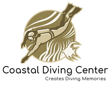 PADI Divemaster Internship