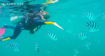 Climate Change & Coral Bleaching Conservation
