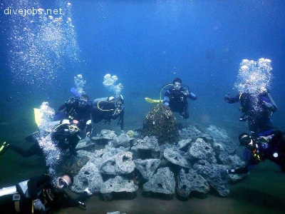 Reef Conservation Supporter