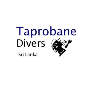 Dive Master Internship