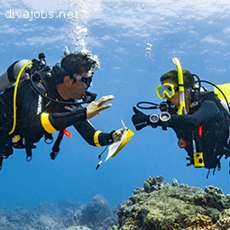 Divemaster Internship program - NO WORKING required