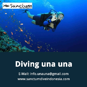 Diving Una Una