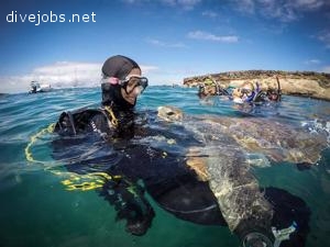PADI Divemaster Internship 6 Weeks