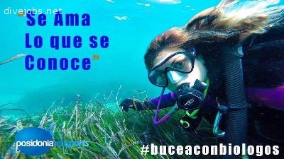 POSIDONIA ECOSPORTS INTERNSHIP: MARINE BIOLOGY-TECHNICAL-CAVES!!!