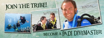 Divemaster internship Program